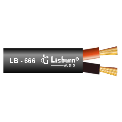 LB 666 (2 CORE)